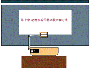 第十章动物实验的基本技术和方法ppt课件.ppt