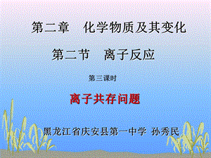 离子共存问题ppt课件.ppt