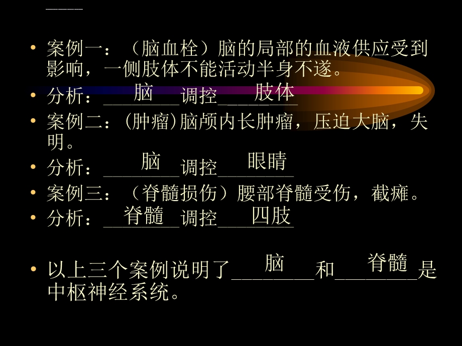 神经系统的组成和功能ppt课件.ppt_第2页