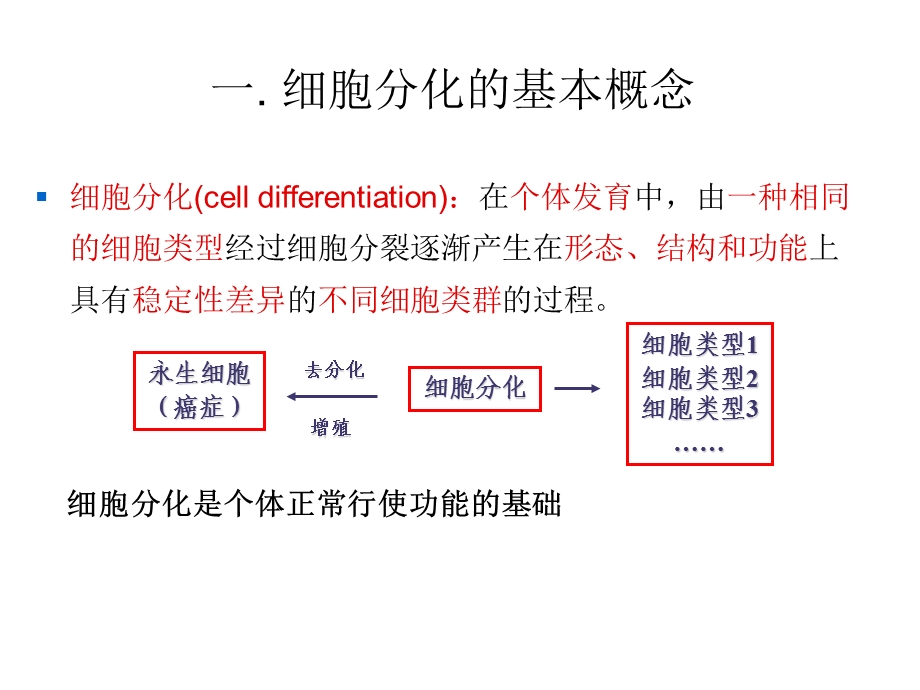 第十四章细胞分化与基因表达调控分析ppt课件.ppt_第3页