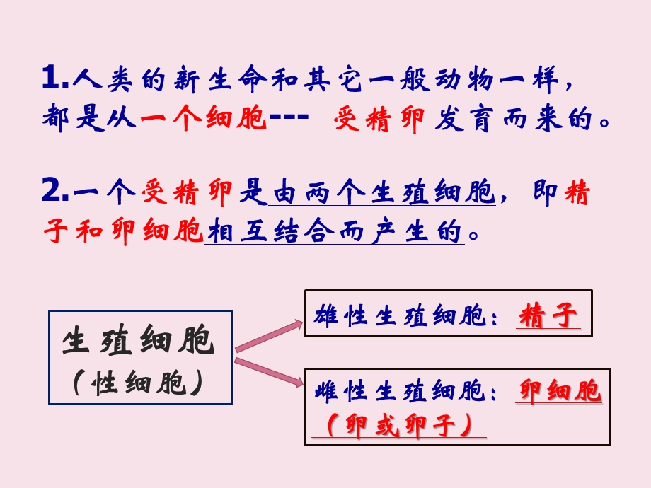 浙教版科学新生命的诞生ppt课件.ppt_第2页