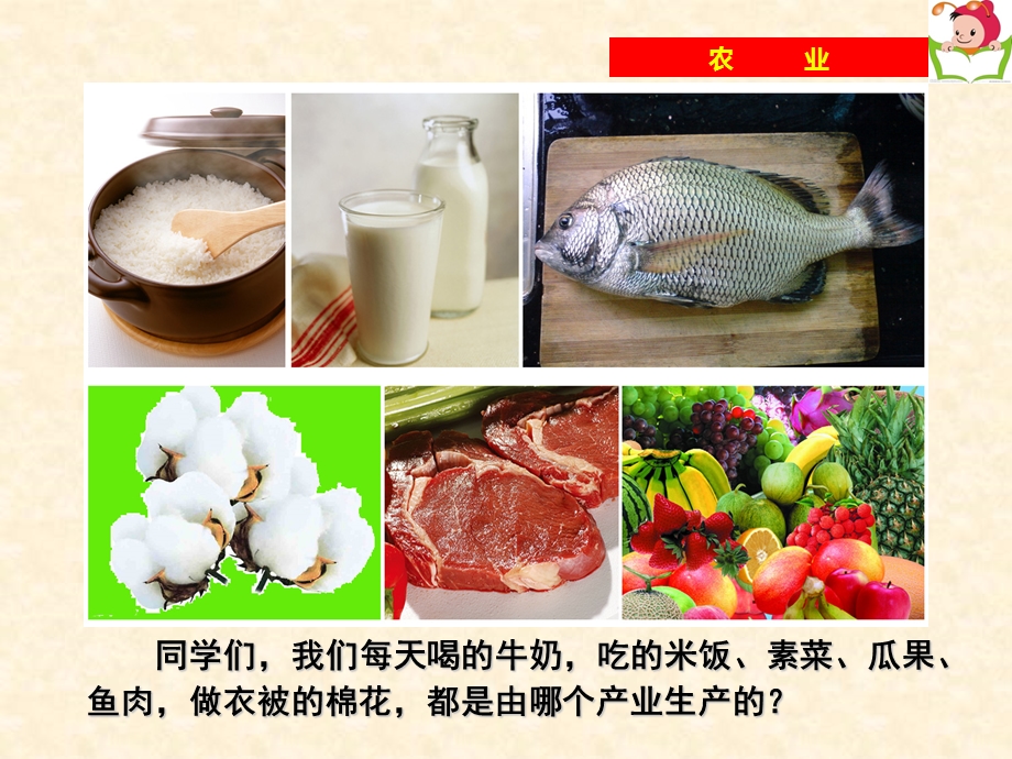 第一节农业 湘教版ppt课件.ppt_第3页