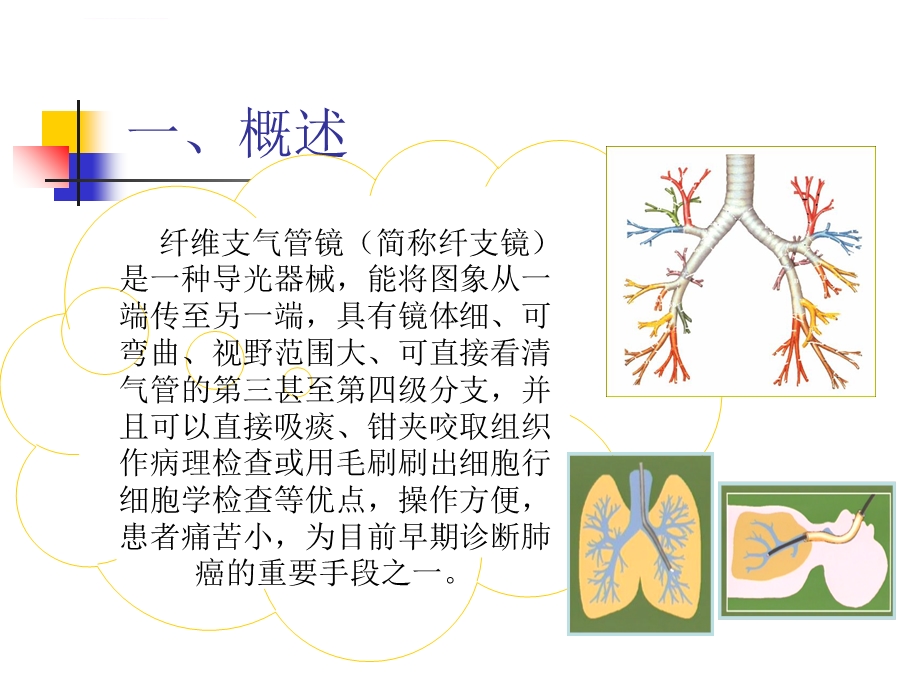 纤维支气管镜检查与护理ppt课件.ppt_第3页