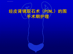 经皮肾镜碎石取石术围手术期护理ppt课件.ppt