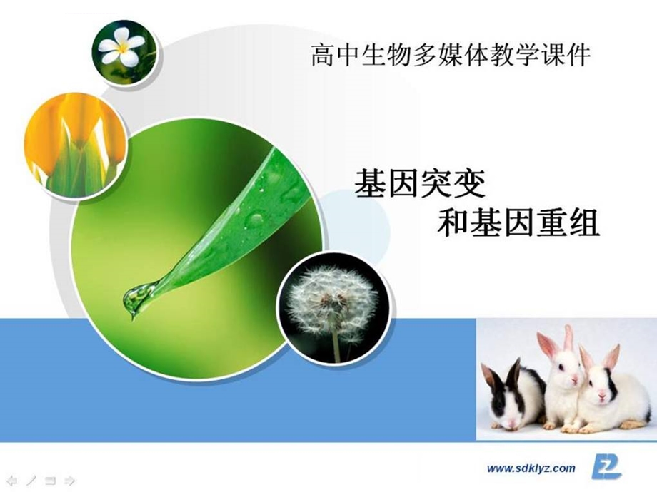 第五章第一节基因突变和基因重组ppt课件.ppt_第1页