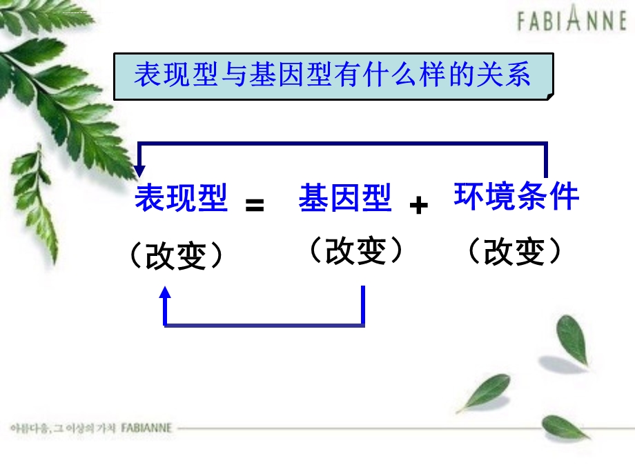 第五章第一节基因突变和基因重组ppt课件.ppt_第2页