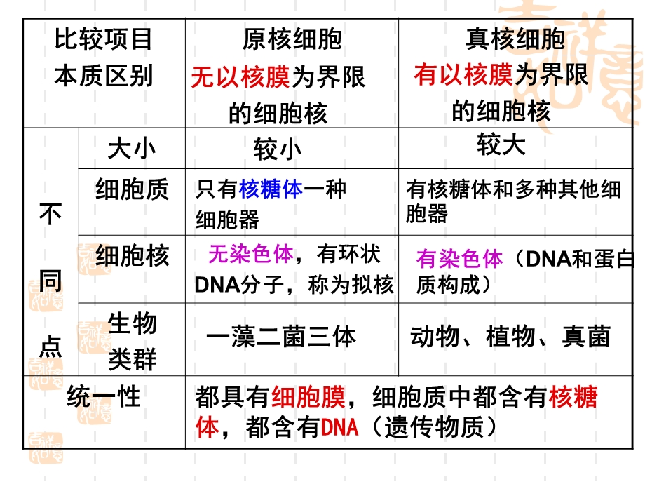 细胞学说的建立过程ppt课件.ppt_第3页