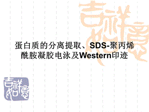 综合性蛋白质的分离提取ppt课件.ppt