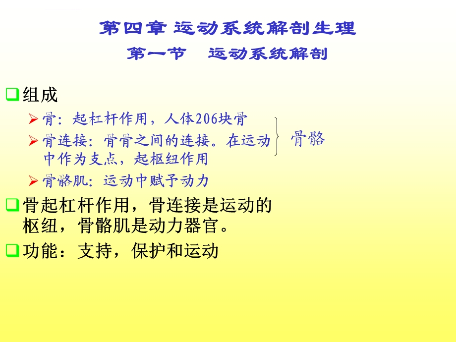 第二篇运动系统常见疾病ppt课件.ppt_第2页