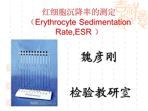 红细胞沉降率的测定ppt课件.ppt