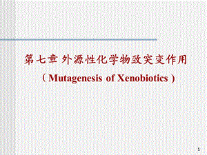 第8章外源化学物致突变作用ppt课件.pptx