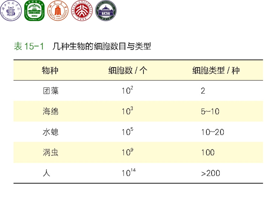 第15章细胞分化与胚胎发育ppt课件.ppt_第3页