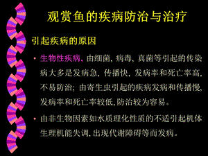 第七章常见观赏鱼的病害防治ppt课件.ppt