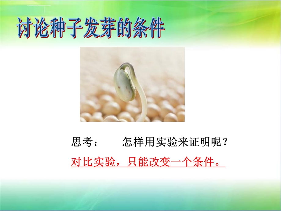 科学五年级上第一单元种子发芽实验（一）水ppt课件.ppt_第2页