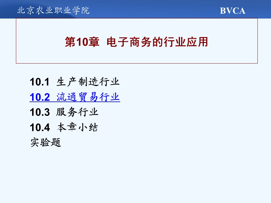 第10章电子商务的应用ppt课件.ppt_第1页