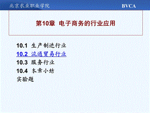 第10章电子商务的应用ppt课件.ppt