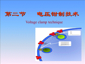 电压钳制和膜片钳制技术ppt课件.ppt