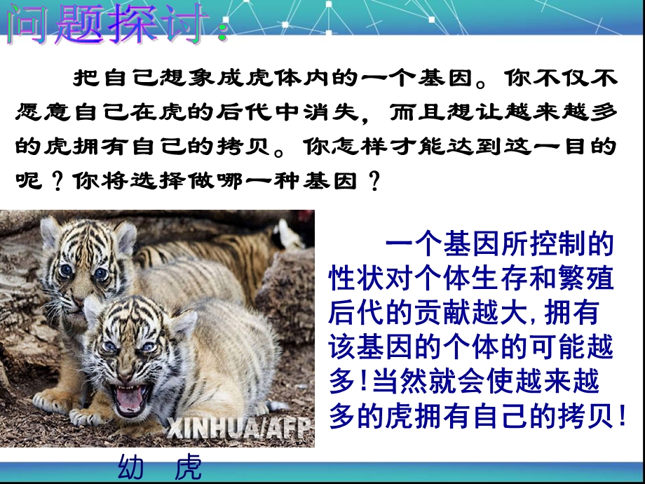 种群基因频率的改变与生物进化ppt课件.ppt_第2页