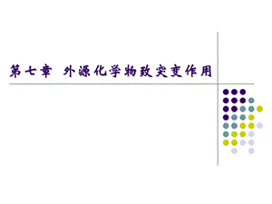 第七章外源化学物致突变作用ppt课件.ppt