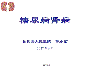 糖尿病肾病的护理ppt课件.ppt