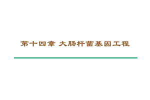 第十四章大肠杆菌基因工程ppt课件.ppt