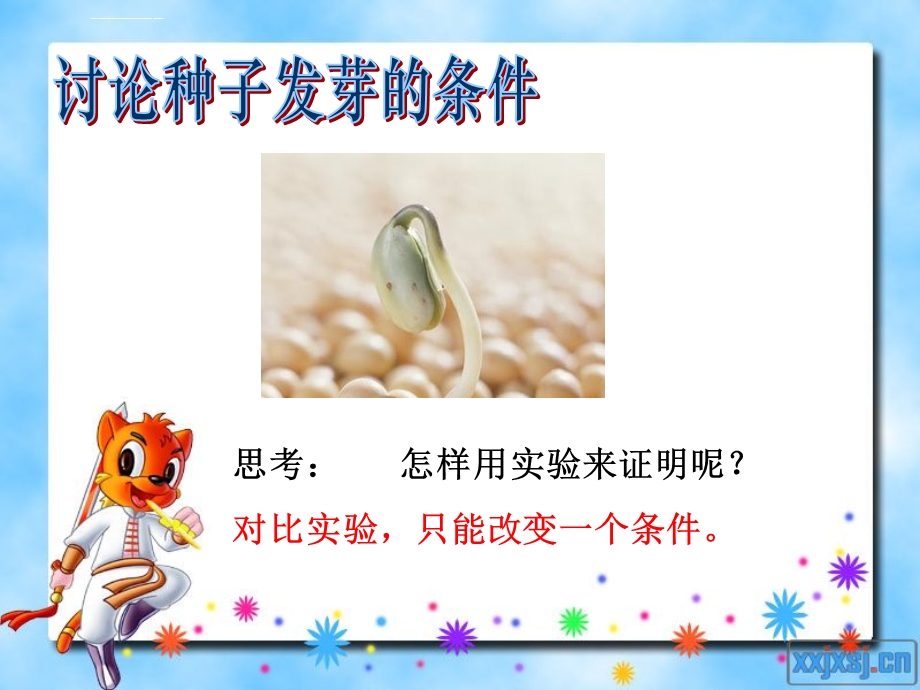 种子发芽实验(一)ppt课件.ppt_第2页