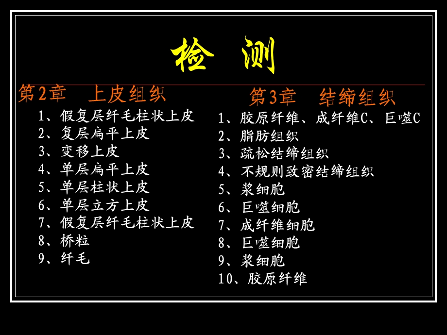 组织学与胚胎学实验考试2 实验2 上皮、结缔组织ppt课件.ppt_第1页