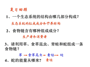 第二节生态系统的能量流动(上课用)ppt课件.ppt