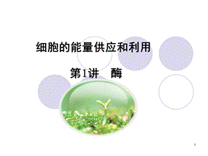 细胞的能量供应和利用一轮复习(课堂ppt)课件.ppt