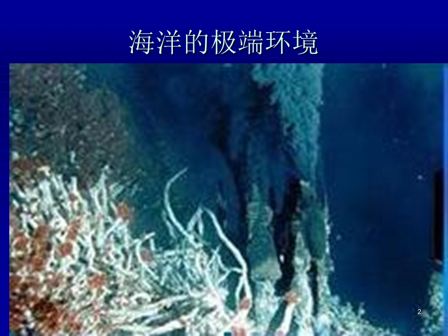 第七章海洋生物活性物质ppt课件.ppt_第2页