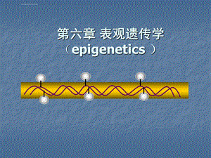 第六章表观遗传学ppt课件.ppt