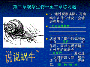 浙教版科学七年级上册第二章观察生物一至三章练习题ppt课件.ppt