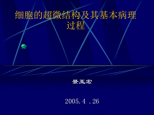 细胞的超微结构及其基本病理ppt课件.ppt