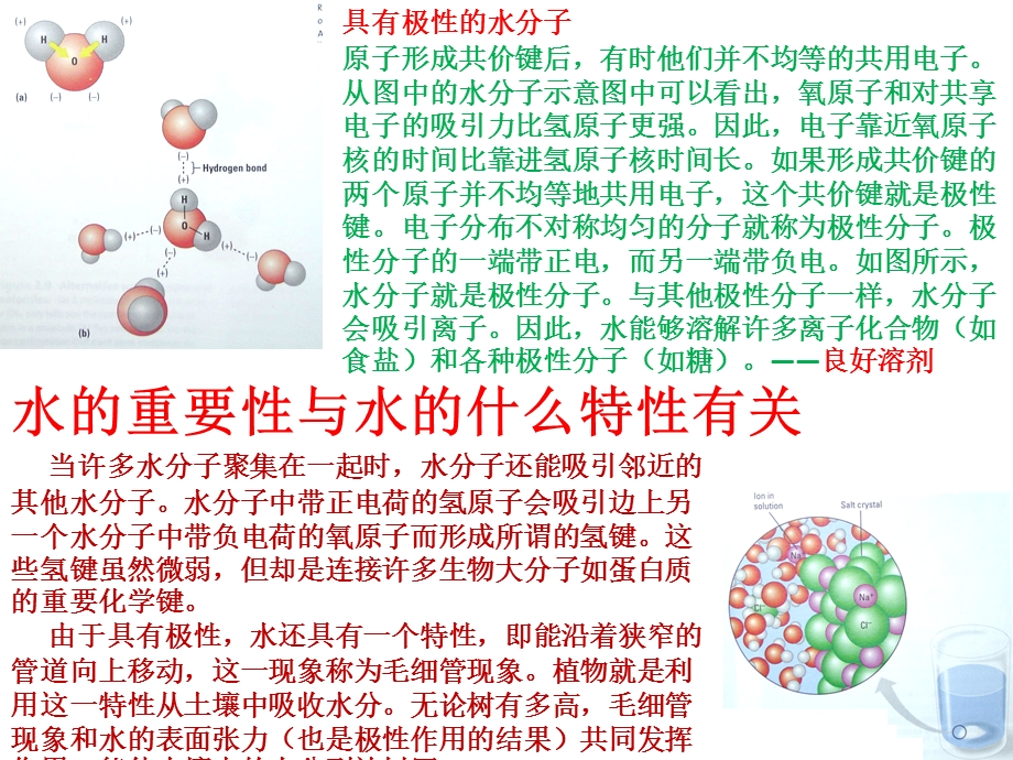 细胞中的无机物PPT课件人教版.pptx_第2页