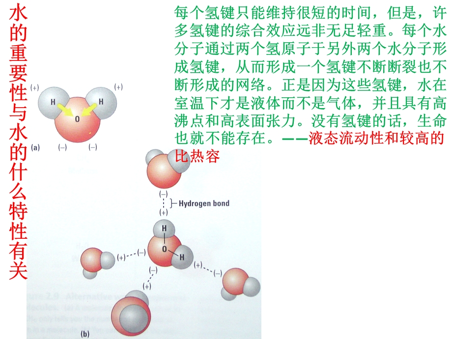 细胞中的无机物PPT课件人教版.pptx_第3页