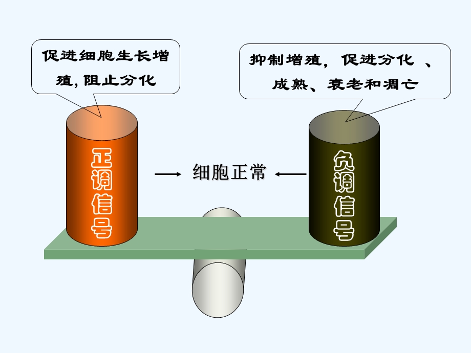 第十一章癌基因与抑癌基因ppt课件.ppt_第3页