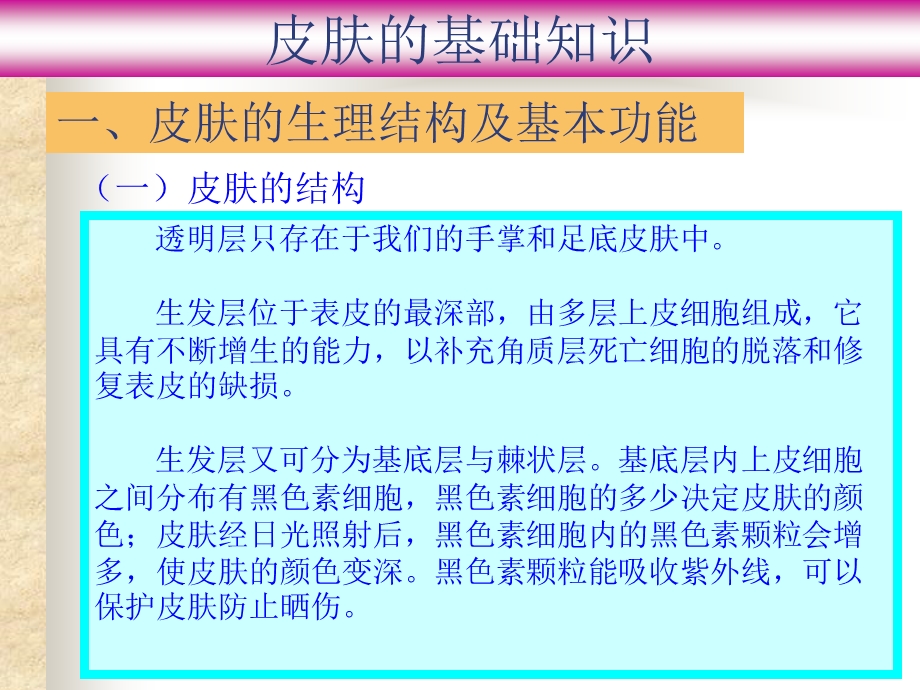 皮肤基础知识大全ppt课件.ppt_第3页