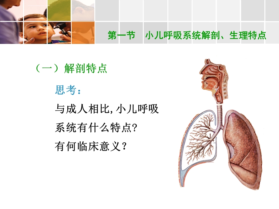 第十章呼吸系统疾病患儿的护理ppt课件.ppt_第3页