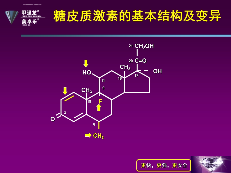 糖皮质激素核心对比ppt课件.ppt_第3页