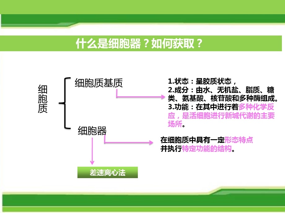 细胞器系统的分工合作ppt课件.ppt_第3页