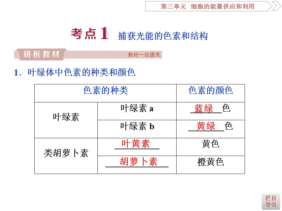 第10讲光合作用的探究历程与基本过程ppt课件.ppt_第3页