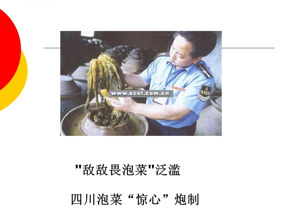 第五章食品中农药残留ppt课件.ppt_第2页