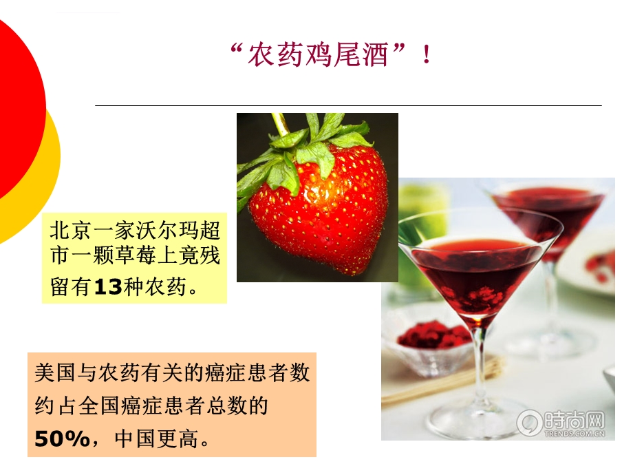 第五章食品中农药残留ppt课件.ppt_第3页