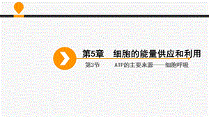 第三节ATP的主要来源——细胞呼吸(含完整图文动画 超实用公开课)ppt课件.ppt