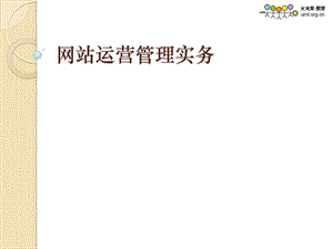 网站运营管理实务ppt课件.ppt