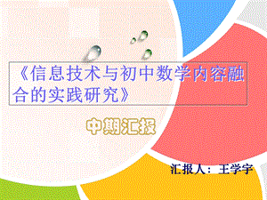 课题中期汇报新ppt课件.ppt