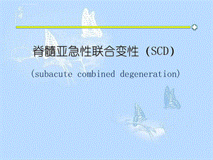 脊髓亚急性联合变性ppt课件.ppt