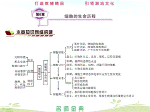 第6章细胞的生命历程ppt课件.ppt