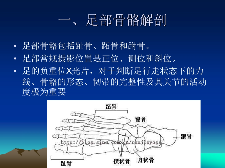 足踝部线检查ppt课件.ppt_第2页