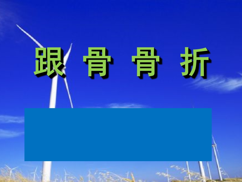 跟骨骨折(浅淡跟骨骨折的治疗)ppt课件.ppt_第1页